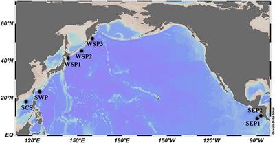 Basin Scale Variation on the Composition and Diversity of Archaea in the Pacific Ocean